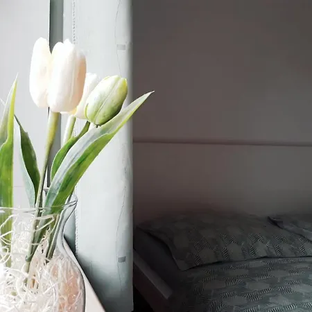 Semesterbostad Prazdninovy Dum U Znojma *