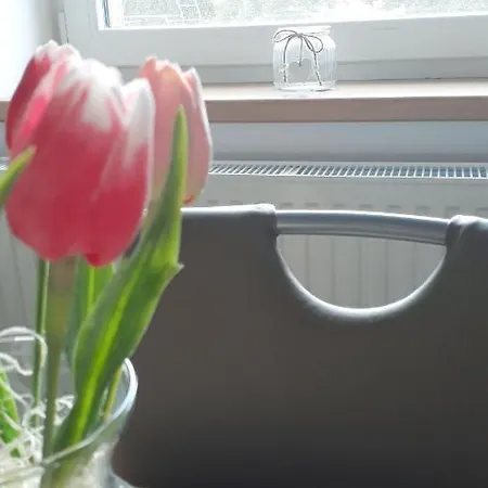 Prázdninový dům U Znojma
